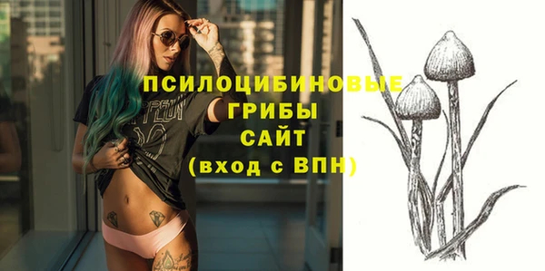 эйфоретик Абаза