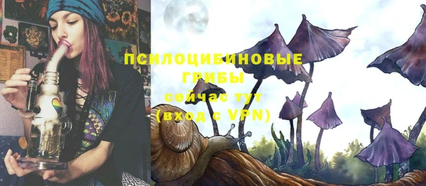 эйфоретик Абаза