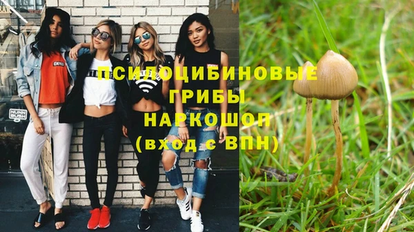 PSILOCYBIN Абинск