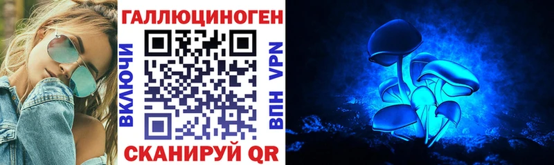 купить   Весьегонск  Галлюциногенные грибы мицелий 